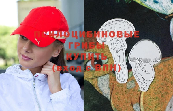 apvp Алексин