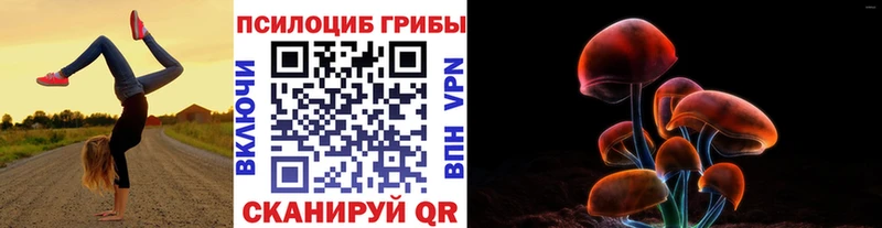 Галлюциногенные грибы прущие грибы Купить Бокситогорск